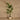 Trees-Artificial Travelers Palm Tree 210cm-Bloomr