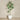 Trees-Artificial Yucca Plant <br> 240cm-Bloomr