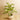 Trees-Artificial Diffenbachia Plant 110cm-Bloomr