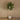 Trees-Artificial Fiddle Leaf Tree 270cm-Bloomr
