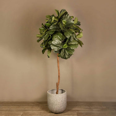 Trees-Artificial Fiddle Leaf Tree 270cm-Bloomr
