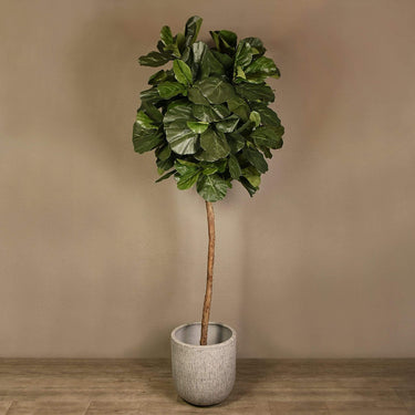 Trees-Artificial Fiddle Leaf Tree <br> 300cm-Bloomr