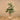 Trees-Fiddle Tree 180cm-Bloomr