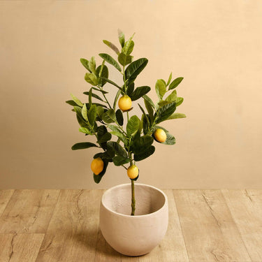 Trees-Artificial Lemon Tree 90cm-Bloomr