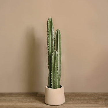 Trees-Artificial Cactus Plant 85cm|105cm|155cm-Bloomr
