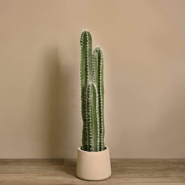 Trees-Artificial Cactus Plant 85cm|105cm|155cm-Bloomr