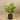 Trees-Artificial Monstera Tree <br> 100cm-Bloomr