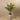 Trees-Artificial Paradise Palm 120cm-Bloomr