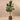 Trees-Artificial Rubber Plant 180cm-Bloomr