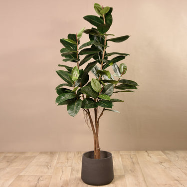 Trees-Artificial Rubber Plant 180cm-Bloomr