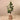 Trees-Artificial Rubber Plant 150cm-Bloomr
