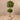Trees-Artificial Shikiba Tree <br> 150cm-Bloomr