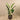 Trees-Artificial Strelitzia Palm 160cm-Bloomr