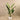Trees-Artificial Strelitzia Palm 160cm-Bloomr
