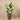 Trees-Artificial Strelitzia Palm 160cm-Bloomr