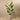 Trees-Artificial Strelitzia Palm 160cm-Bloomr