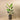 Trees-Artificial Strelitzia Palm 160cm-Bloomr