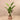 Trees-Artificial Strelitzia Tree 155cm-Bloomr