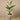 Trees-Artificial Strelitzia Tree 155cm-Bloomr