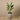 Trees-Artificial Strelitzia Tree 120cm-Bloomr
