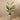 Trees-Artificial Strelitzia Tree 155cm-Bloomr