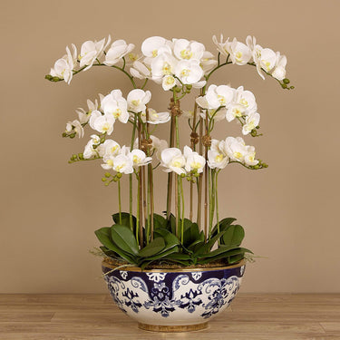 -Orchid Arrangement in Ceramic Vase-Bloomr