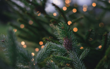 Luxury Faux Holiday Plants and Flowers
