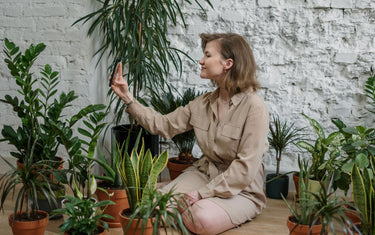The Top 5 Artificial Plants for 2021