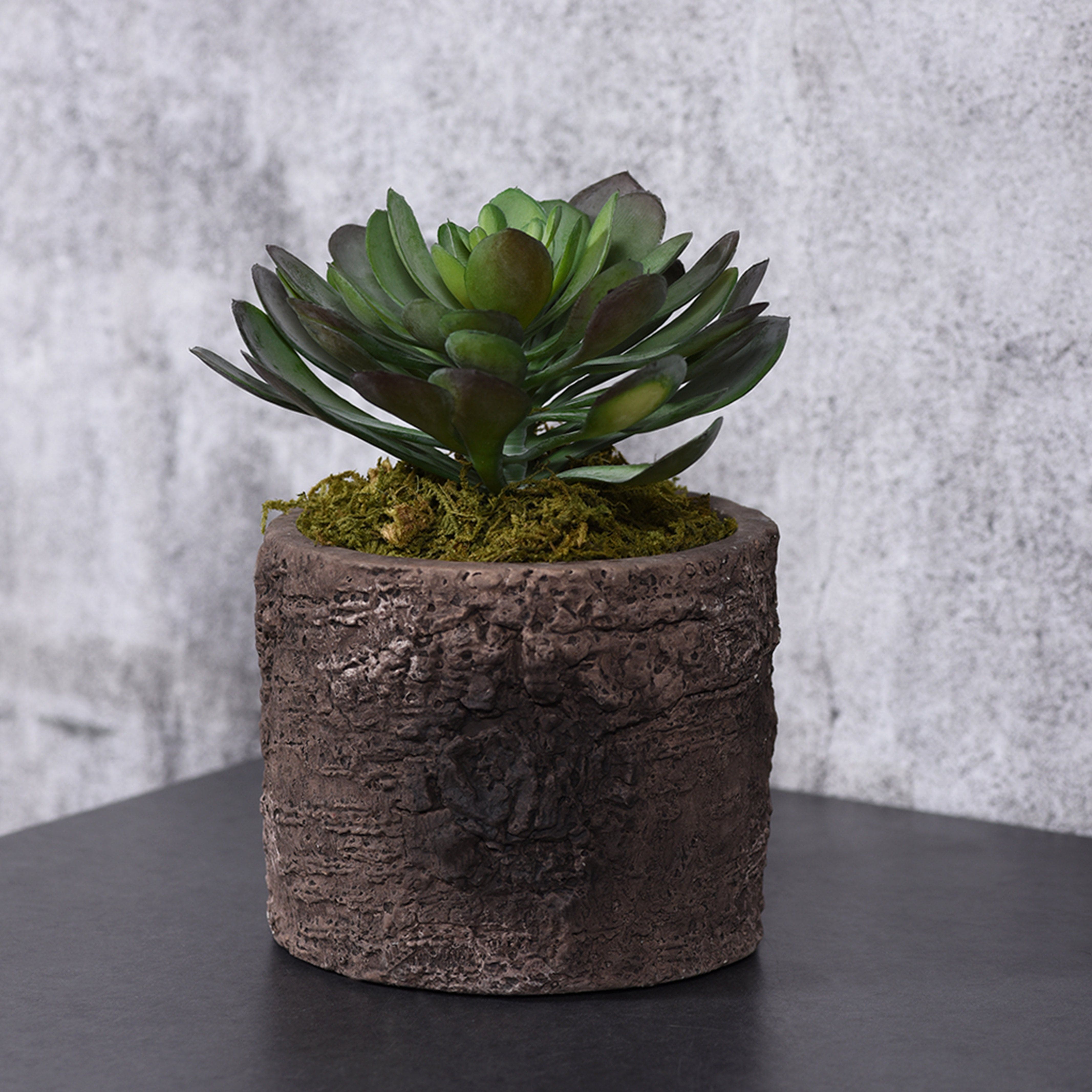 Luxury Artificial Succulents & Cacti