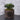 Luxury Artificial Succulents & Cacti