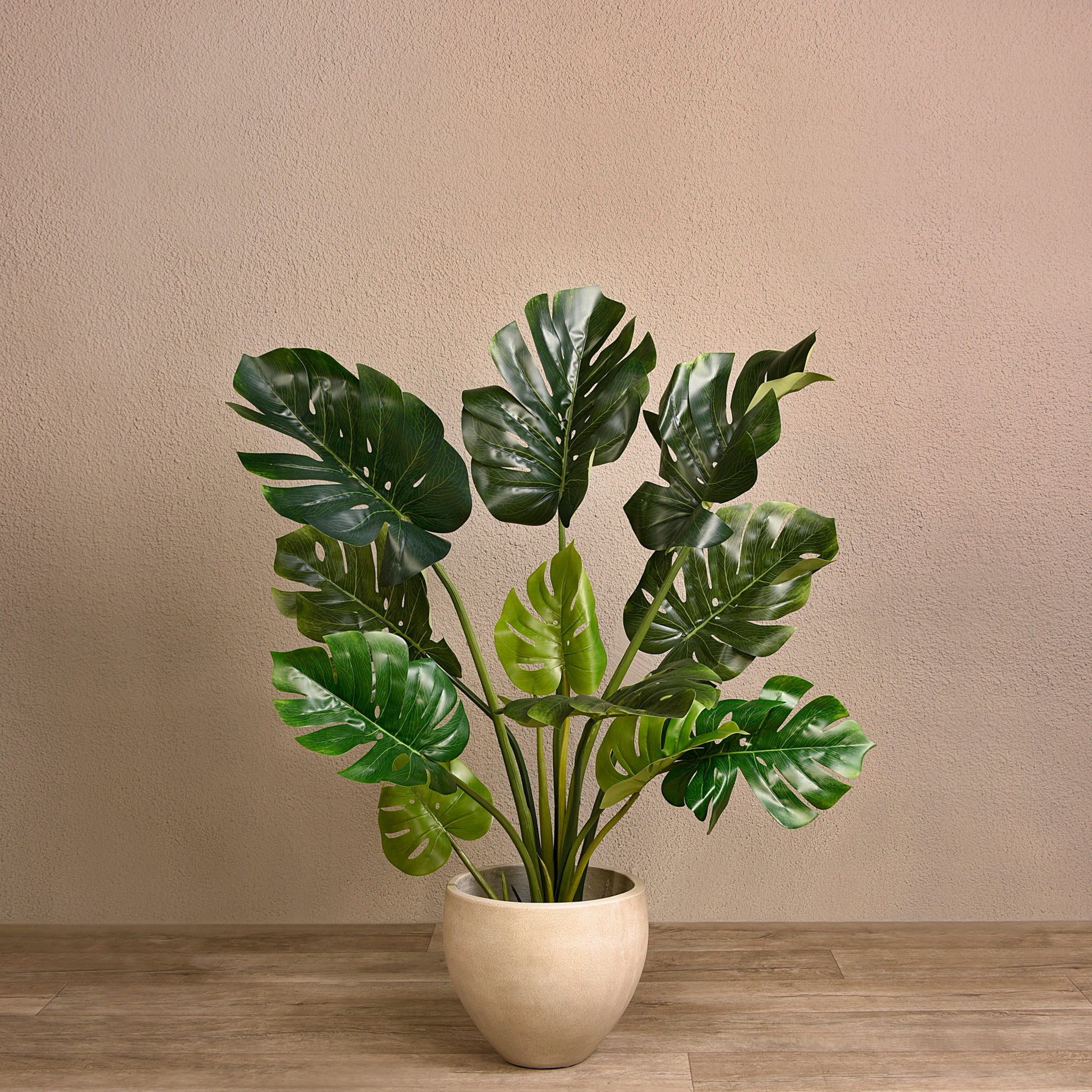 Monstera Trees – Bloomr