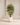 Luxury Artificial Bamboo Trees