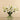 Calla & Lily Arrangements