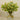 Twigs & Leafy Arrangements