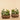 Luxury Artificial Succulents/Cactus/Agave/Aloe