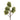 Green Branches
