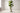 artificial-trees