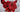 Luxury Artificial Amaryllis