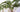 Luxury Artificial Ferns