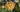 Luxury Artificial Protea