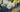Luxury Artificial Ranunculus