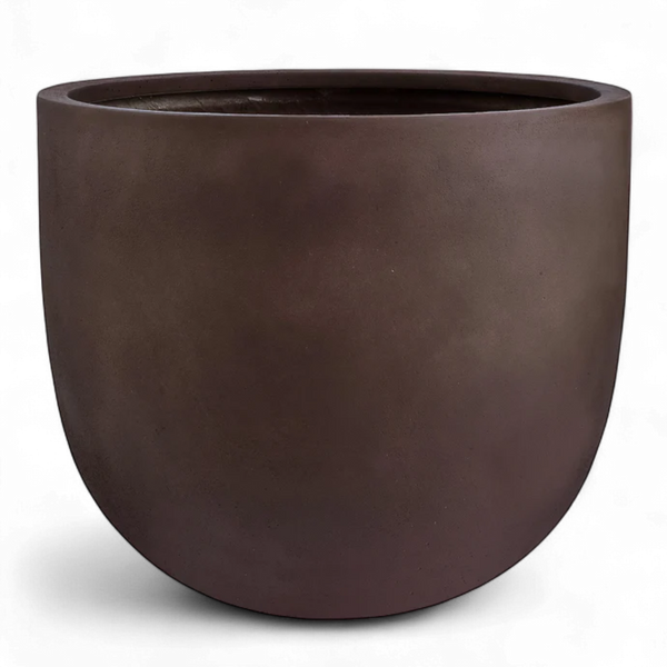 أصيص أشجار فيكونستون دائري كبير