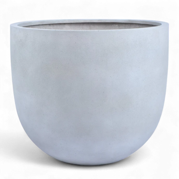 أصيص أشجار فيكونستون دائري كبير