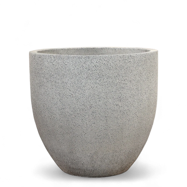 أصيص أشجار فيكونستون دائري كبير