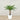 Trees-Artificial Phoenix Palm Tree 120cm-Bloomr