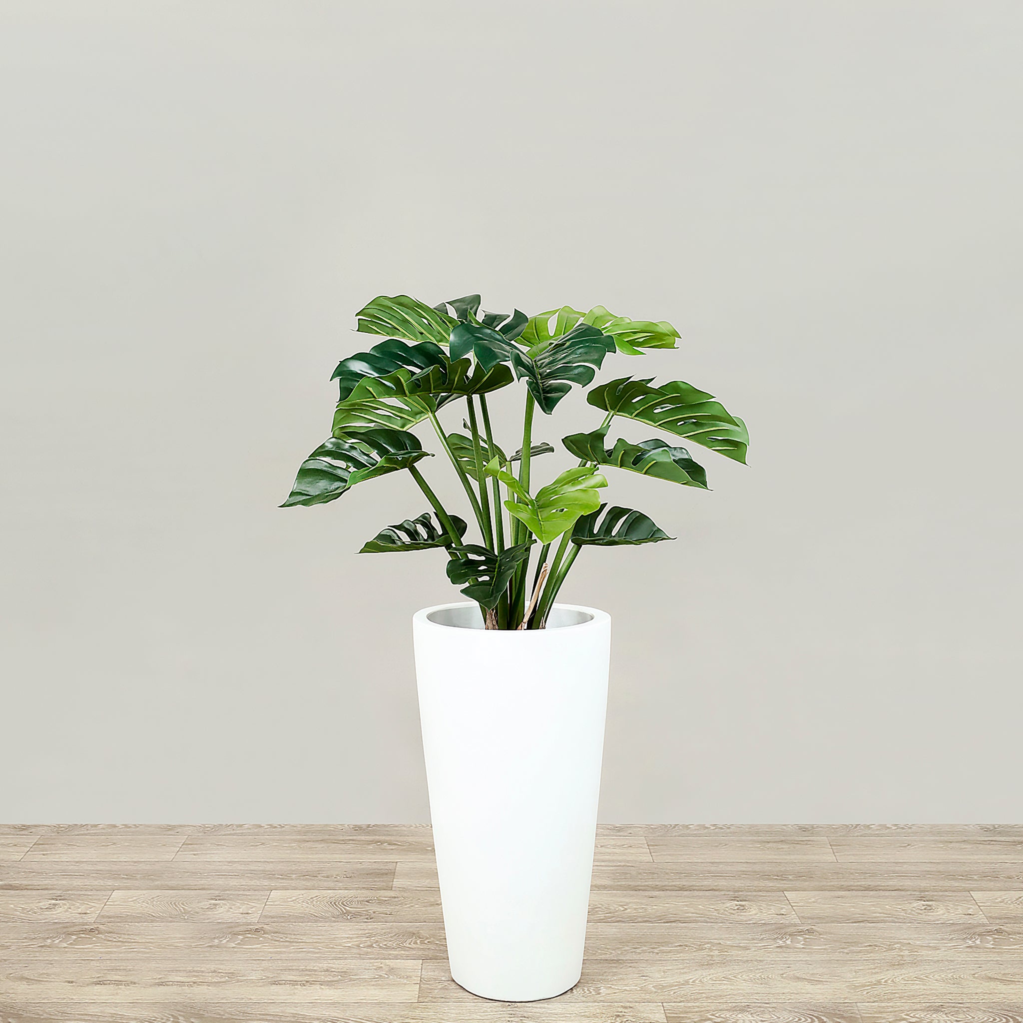 Künstliche Monstera 60cm – Bloomr