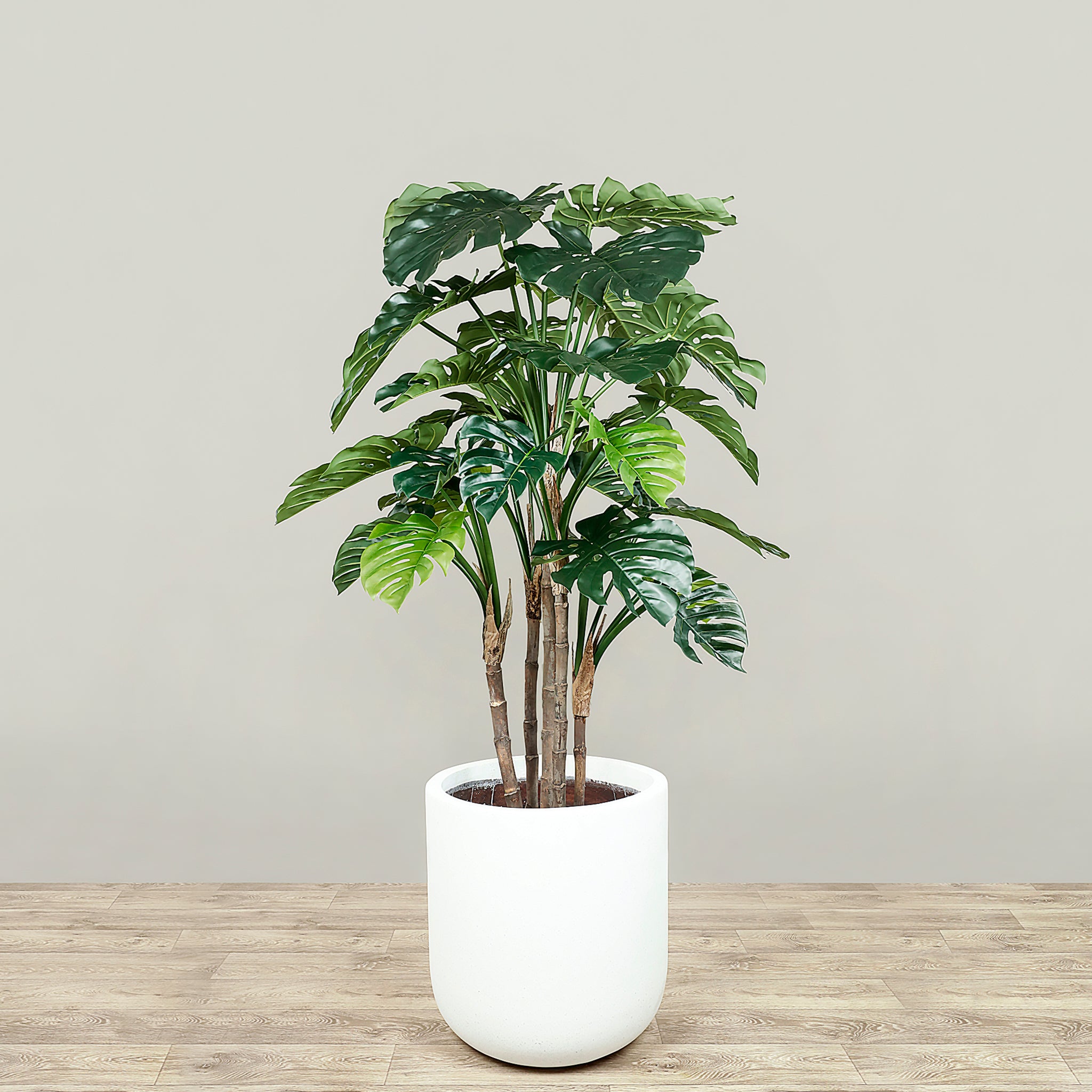 Artificial Monstera Tree 165cm – Bloomr