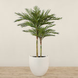 Artificial Phoenix Palm Tree <br> 210cm