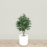 Artificial Olive Tree <br> 120cm