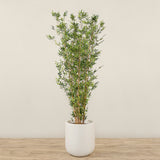 Artificial Bamboo Tree <br> 210cm